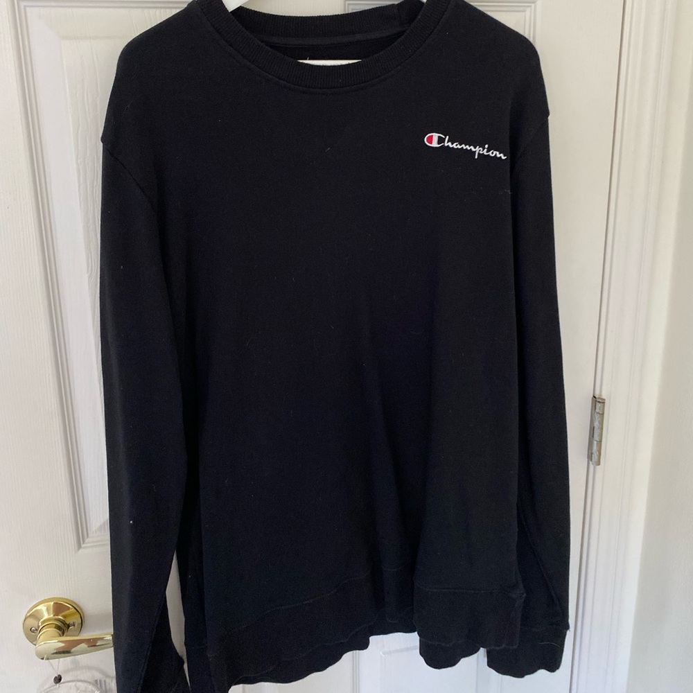 Champion Mens Hoodie.